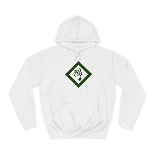 Cozy Campus Hoodie | Unisex College Spirit Wear, College Student Gift, School Spirit Hoodie, Varsity Style Clothing